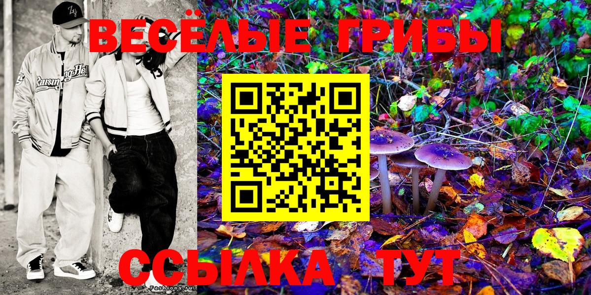 Галлюциногенные грибы Magic Shrooms Горячий Ключ